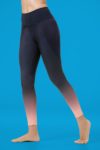 Dao Koral Compress Legging Main 1811B